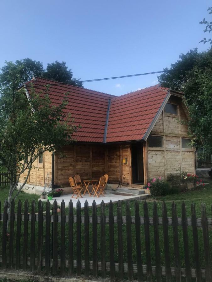 Anica Мокра-Гора